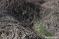 VBS_8836- Risvegli